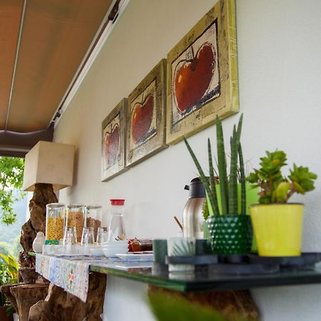 Quinta Da Mouta Villa Vieira do Minho Eksteriør billede