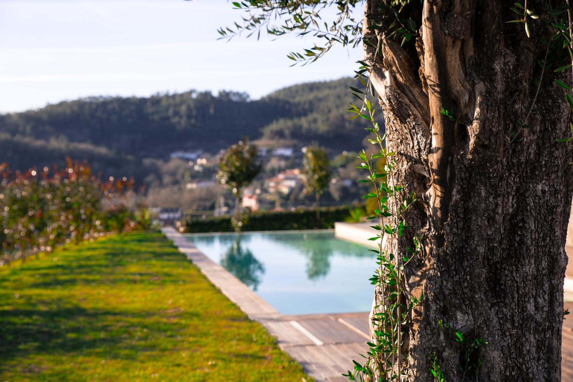 Quinta Da Mouta Villa Vieira do Minho Eksteriør billede